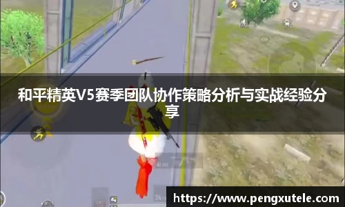 和平精英V5赛季团队协作策略分析与实战经验分享