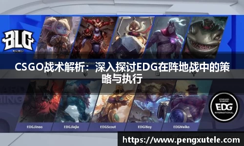 CSGO战术解析：深入探讨EDG在阵地战中的策略与执行