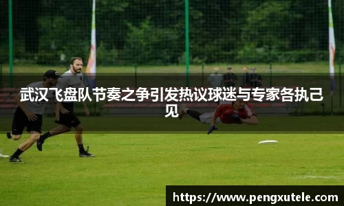 武汉飞盘队节奏之争引发热议球迷与专家各执己见