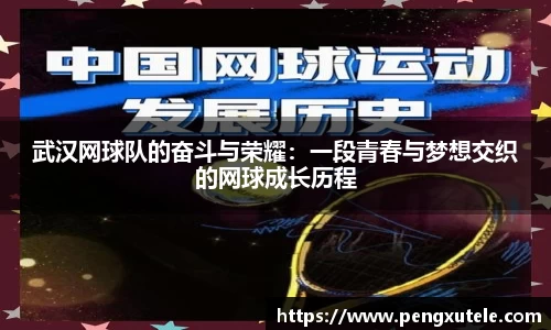 武汉网球队的奋斗与荣耀：一段青春与梦想交织的网球成长历程