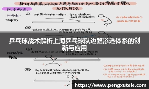 乒乓球战术解析上海乒乓球队边路渗透体系的创新与应用